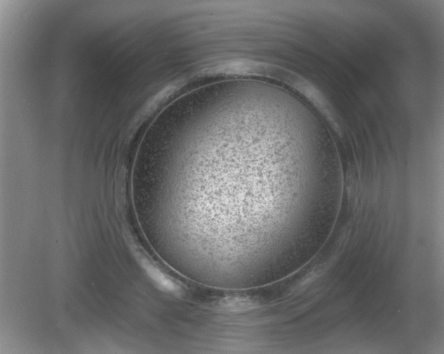 X0000081480445200701191836