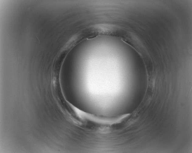 X0000081480456200701191837