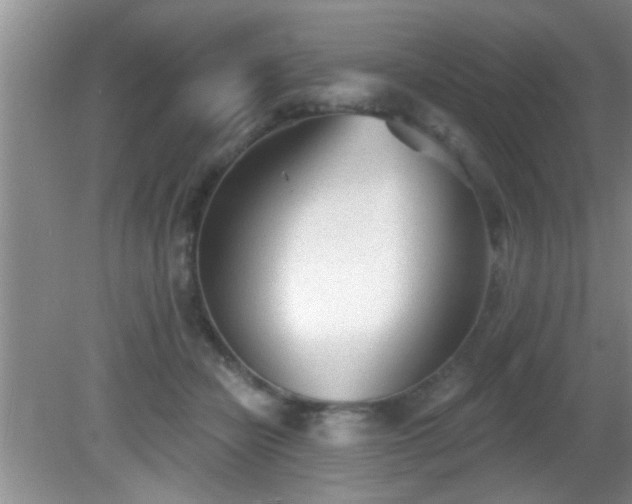 X0000081480462200701191837