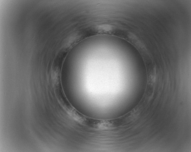 X0000081480468200701191837