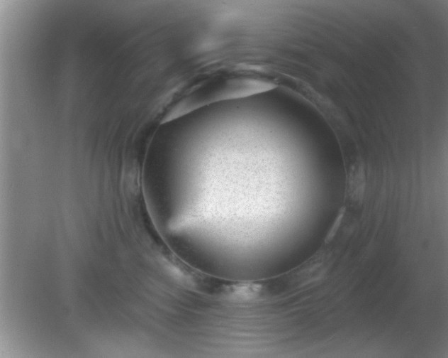 X0000081480474200701191837