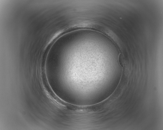 X0000081480482200701191836