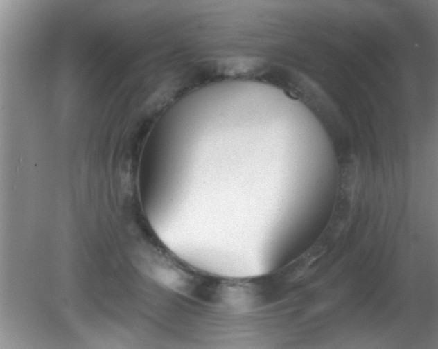 X0000081480510200701191836