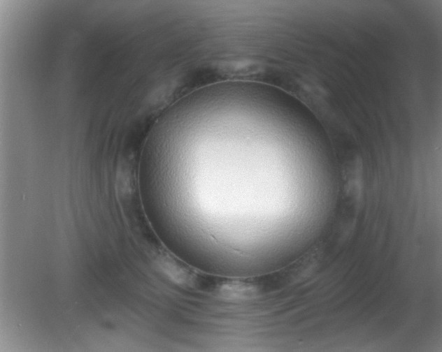X0000081480515200701191836