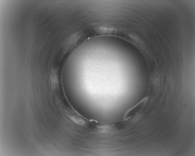X0000081480516200701191836