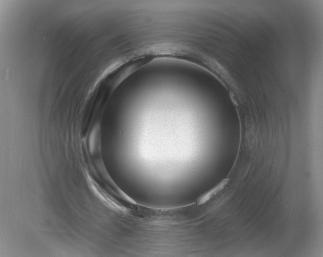 X0000081480530200701191835