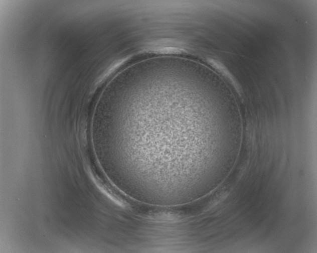 X0000081480533200701191835