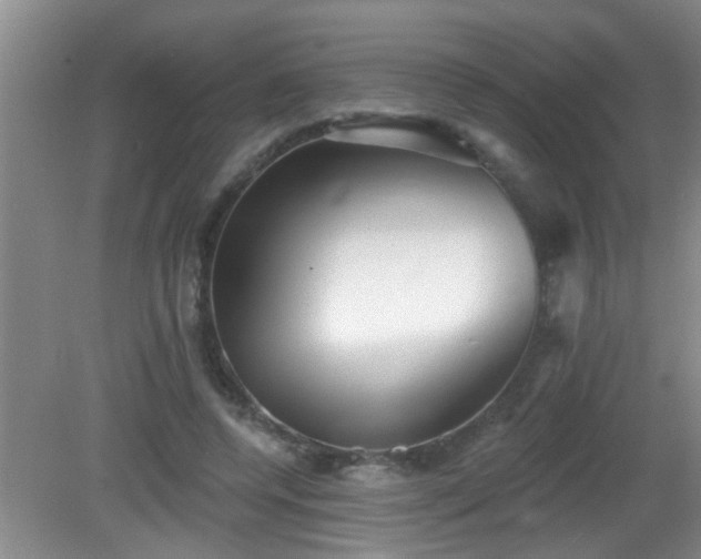 X0000081480544200701191835