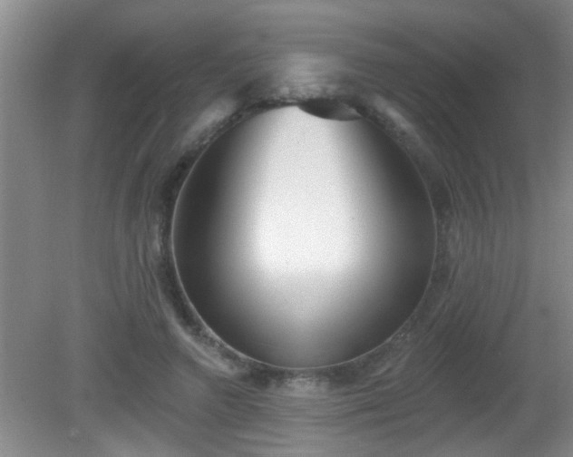 X0000081480546200701191835