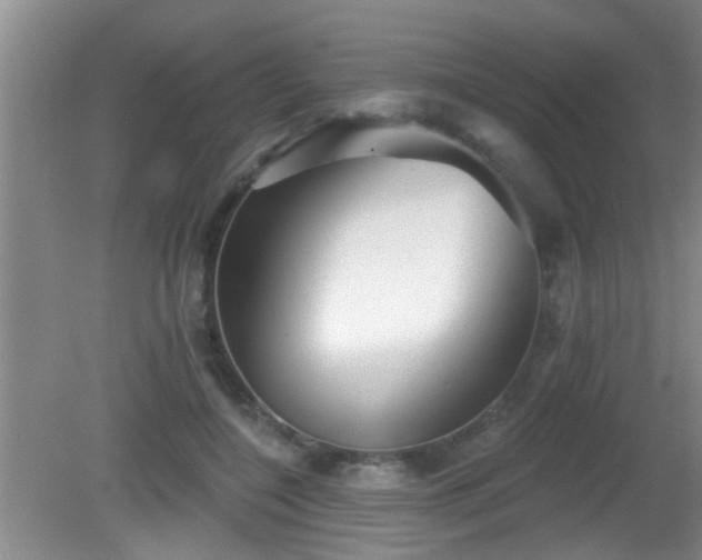 X0000081480548200701191835