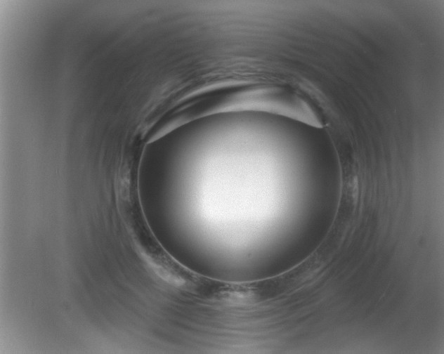 X0000081480552200701191835