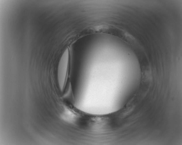 X0000081480558200701191835