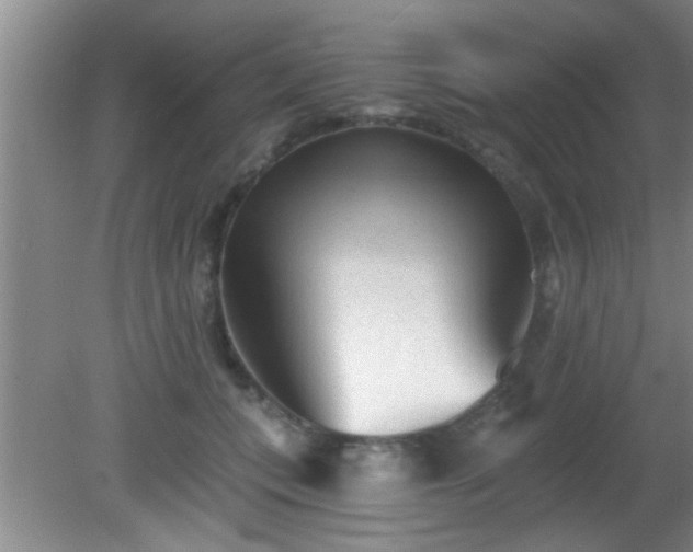 X0000081480559200701191835