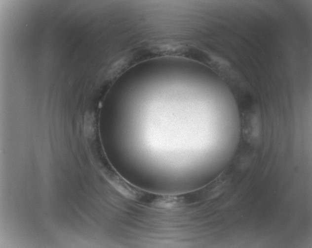 X0000081480563200701191835
