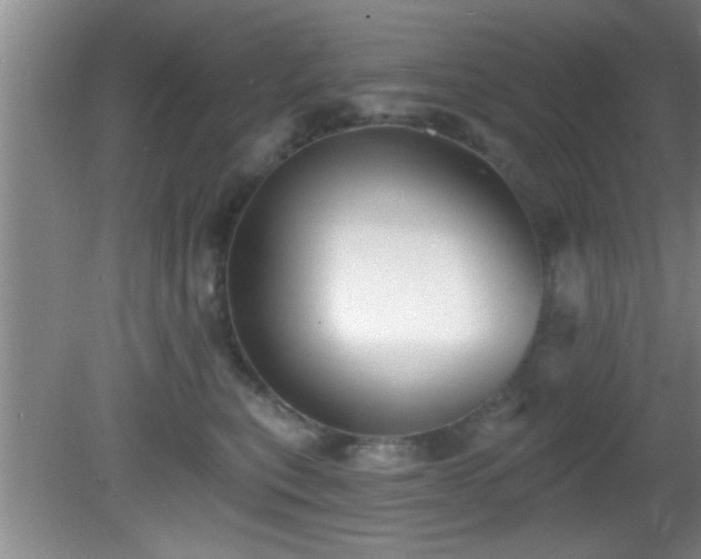 X0000081480567200701191835
