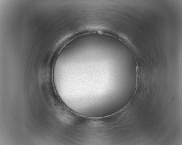 X0000081480583200701191835