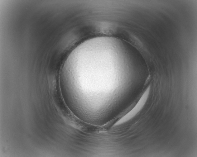 X0000081480595200701191834