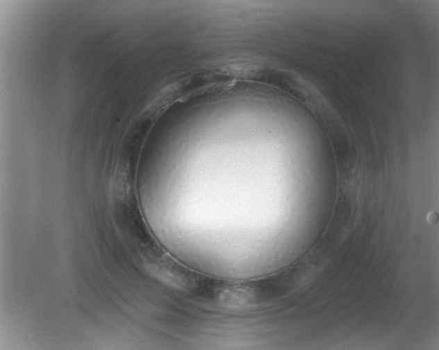 X0000081480599200701191834