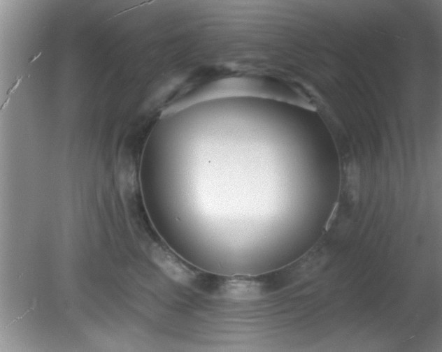 X0000081480617200701191834