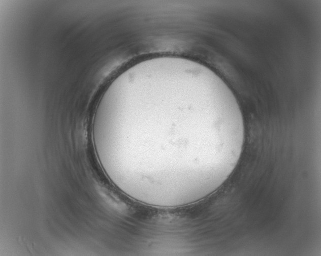 X0000081480632200701191833