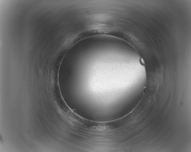 X0000081480639200701191833