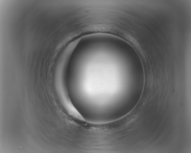 X0000081480673200701191833