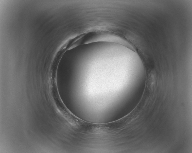 X0000081480680200701191833