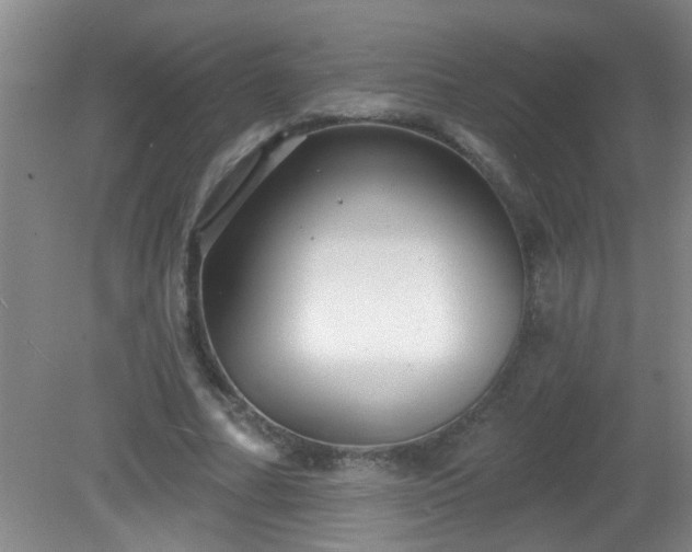 X0000081480682200701191833