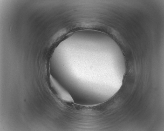 X0000081480685200701191833