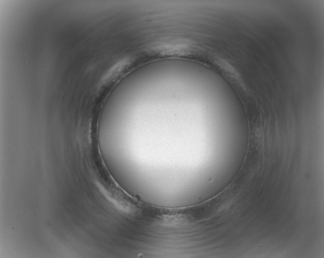X0000081480686200701191833