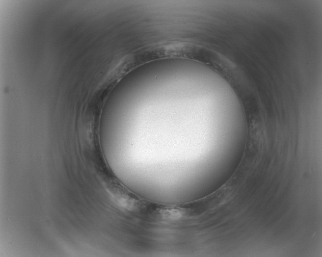 X0000081480698200701191833