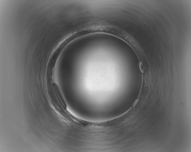 X0000081480722200701191831