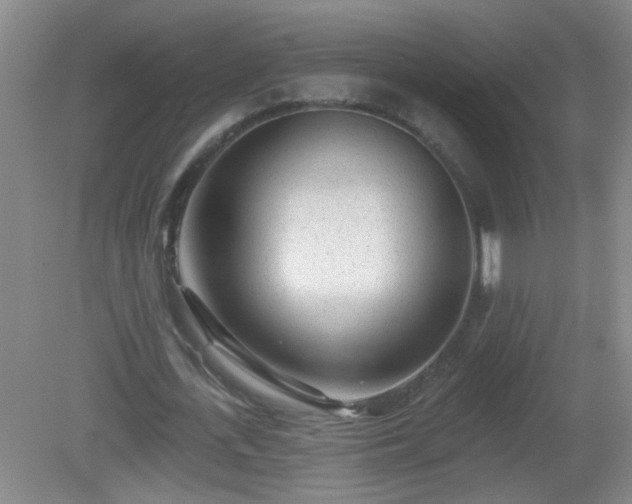 X0000081480723200701191831