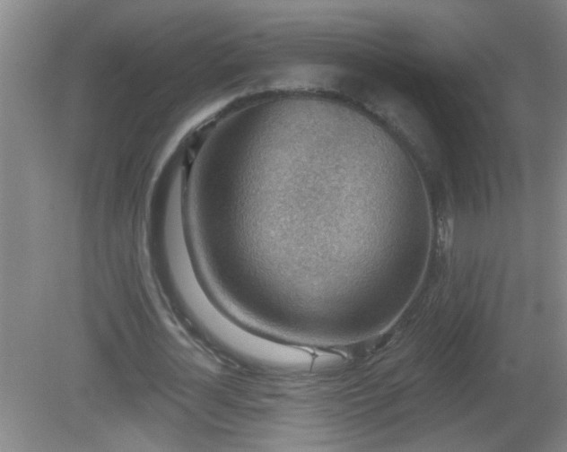 X0000081480724200701191831