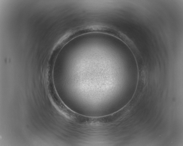 X0000081480730200701191832
