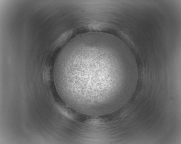 X0000081480738200701191832