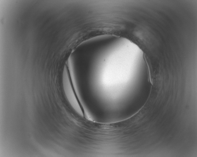 X0000081480750200701191832