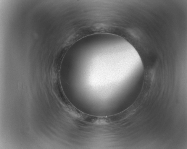 X0000081480751200701191832