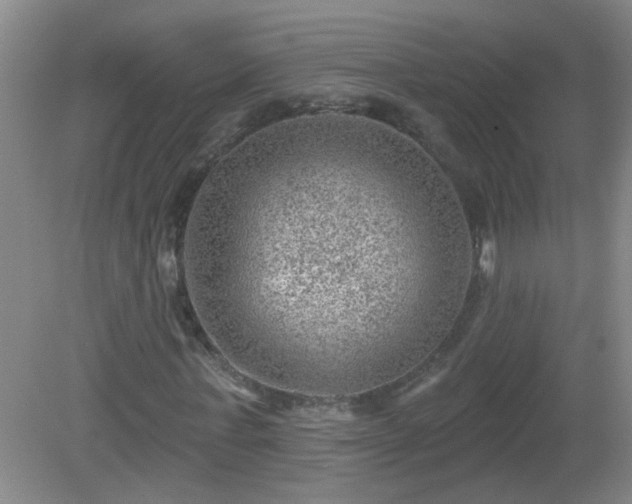X0000081480771200701191831