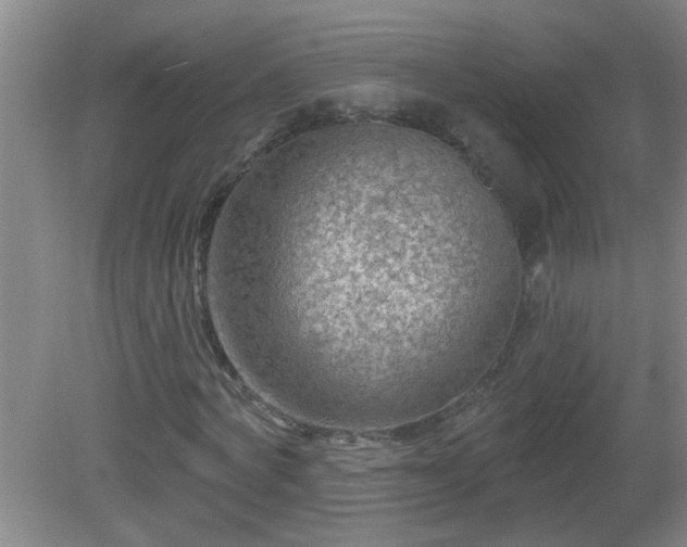 X0000081480772200701191831