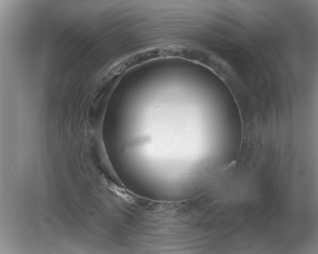 X0000081480773200701191831