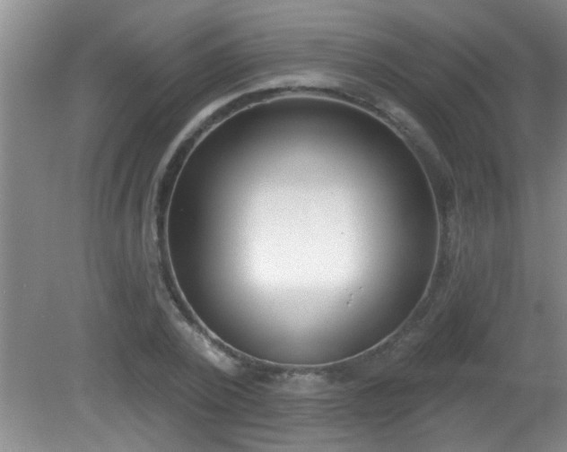 X0000081480784200701191831