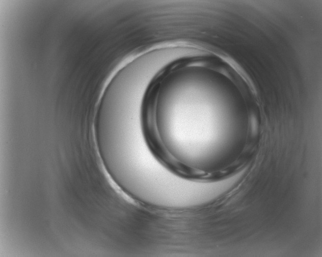 X0000081480813200701191831