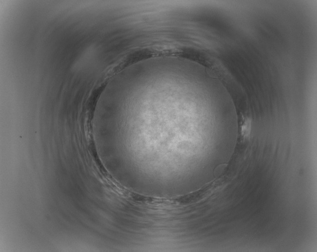 X0000081480819200701191830