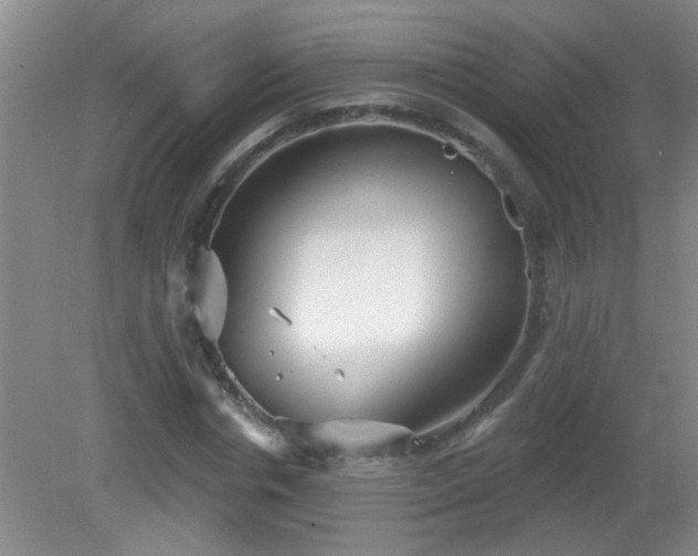 X0000081480826200701191830