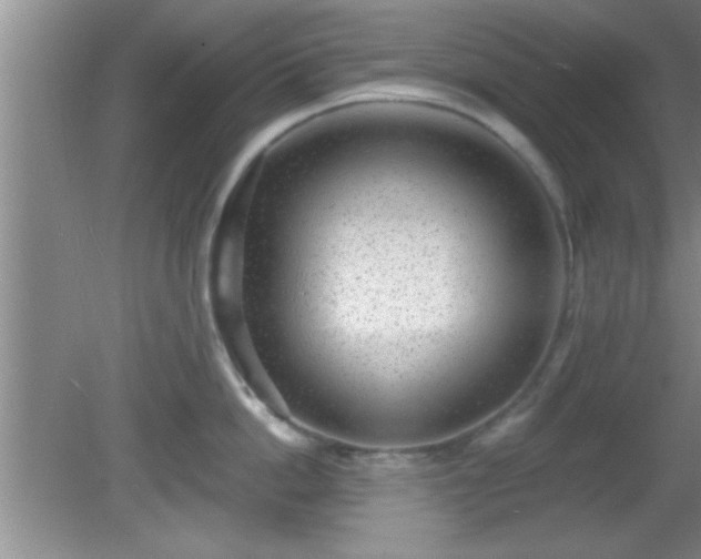 X0000081480862200701191831
