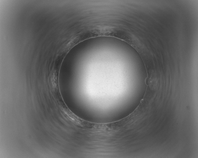X0000081480866200701191830