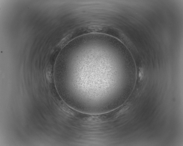 X0000081480867200701191830