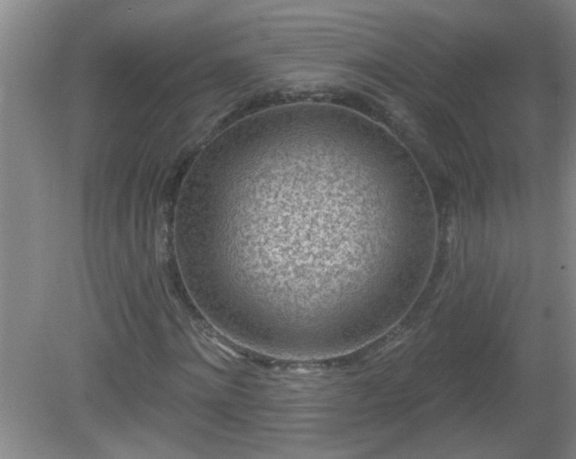 X0000081480868200701191830