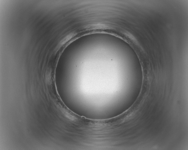 X0000081480873200701191830